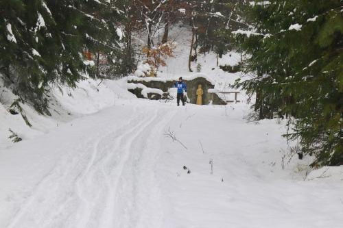 7. ročník Hričovskej Bielej stopy 2019