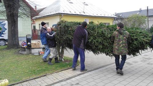 Stavanie Vianočného stromčeka 2015